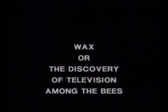 Wax, or The Discovery of Television Among the Bees (1991) dir. David Blair