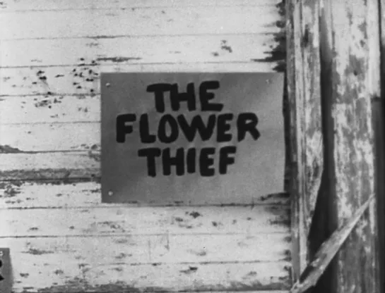 The Flower Thief (1960) dir. Ron Rice