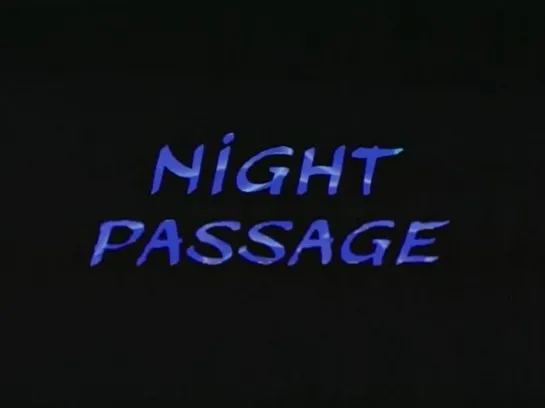 Night Passage (2004) dir. Trinh T. Minh-ha, Jean-Paul Bourdier