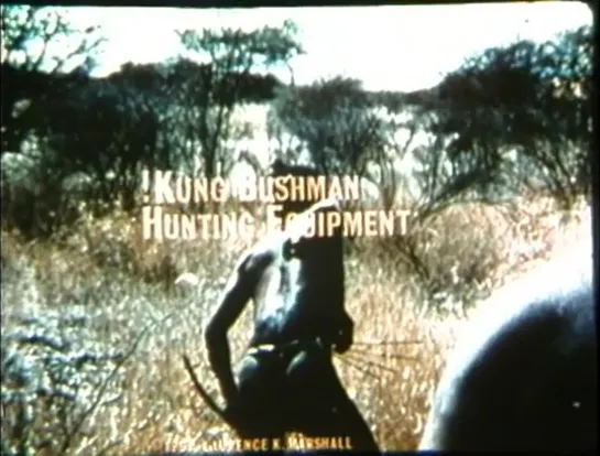 !Kung Bushmen Hunting Equipment (1972) dir. John Marshall