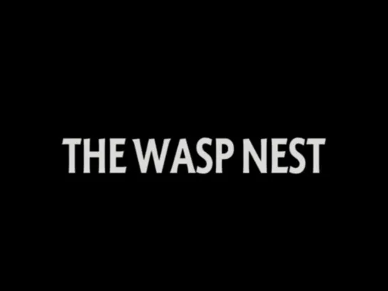 The Wasp Nest (1972) dir. John Marshall