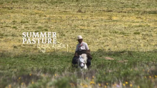 Summer Pasture (2010) dir.  Lynn True, Nelson Walker III, Tsering Perlo