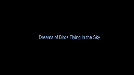 Dreams of Birds Flying in the Sky (2020) dir. Arun Bahttarai