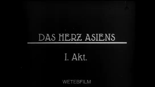 Афганистан (Сердце Азии) (1929) реж. Владимир Ерофеев