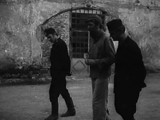 Black Birds / Crne ptice (1967) dir. Eduard Galic