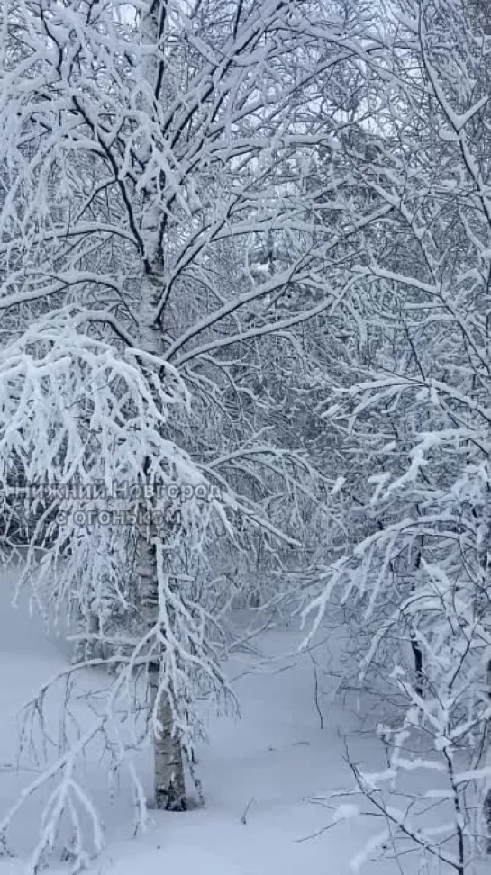 Видео от Нижний Новгород