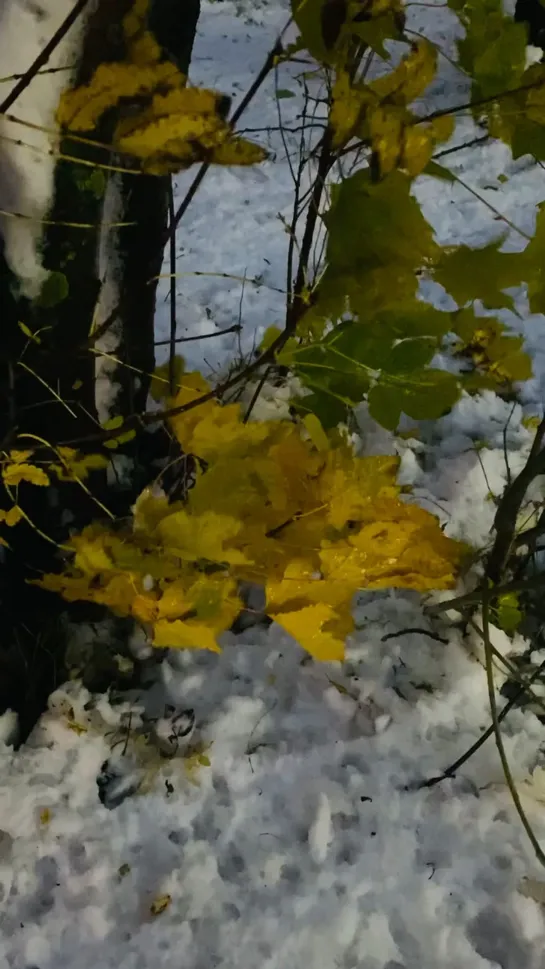 Видео от Нижний Новгород