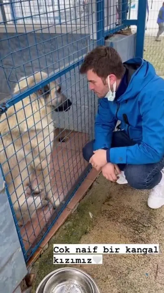 Видео от Планета Кыванча Татлытуга...