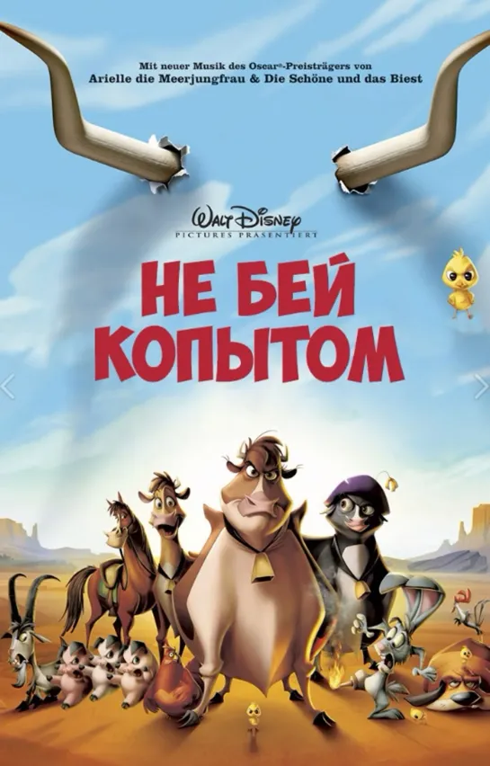 Не бей копытом