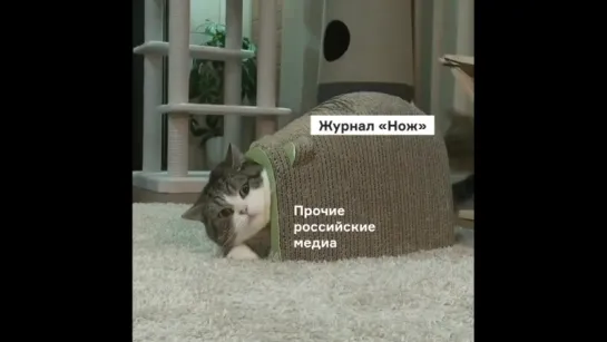 Журнал «Нож»