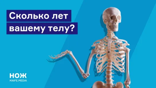 Сколько лет вашему телу?