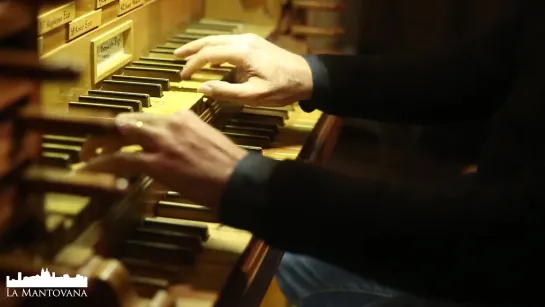 675 J.S. Bach - Chorale prelude Allein Gott in der Höh sei Ehr", BWV 675 - Stefano Molardi, organ