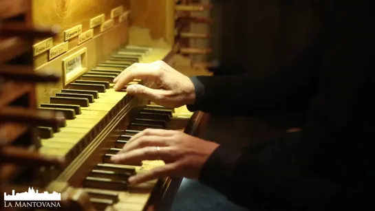 804 J. S. Bach - Duetto III in G major, BWV 804 - Stefano Molardi, organ