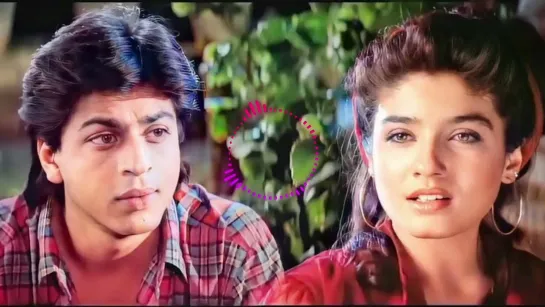 Tera Naam Lene Ki _ Shahrukh Khan _ Raveena Tandon _ Yeh Lamhe Judaai Ke songs