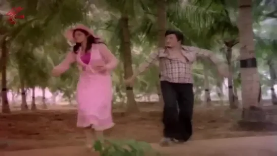 Athamadugu Vaagulona Song _ Kondaveeti Simham _ NTR, Sridevi