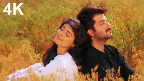 Dhol Bajne Laga Gaon Sajne Laga _ Virasat SONG _ Anil Kapoor & Pooja Batra