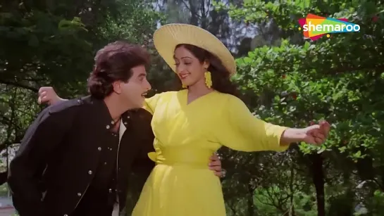 Chot Lagi Kahaan _ Ghar Sansar (1986) _ Jeetendra, Sridevi _  Songs