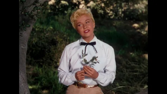 Secret Love Doris Day Дорис Дэй (Calamity Jane 1953)