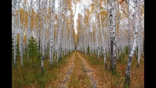 Давай дружок по Вологде кружок.