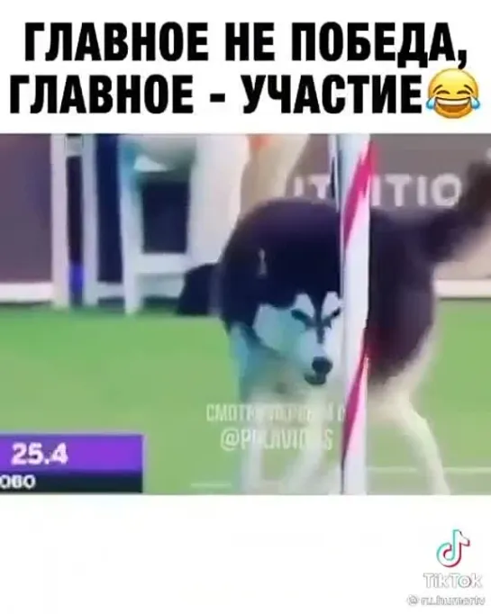 Главное участие