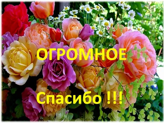 ஜ۩۞۩ஜ💎●СПАСИБО●💎ஜ۩۞۩ஜ