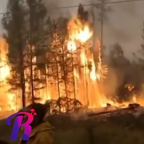 Видео от Дмитрия Панова