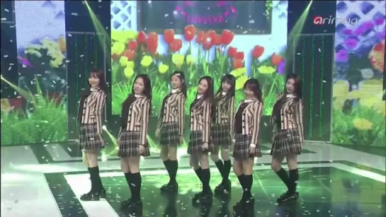 141121 | Lovelyz - Good Night Like Yesterday&Candy Jelly Love | Simply Kpop