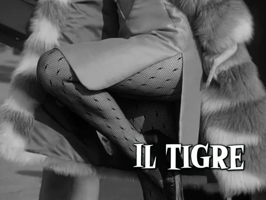 Miss Universe, not in the credits (Il Tigre, 1967)