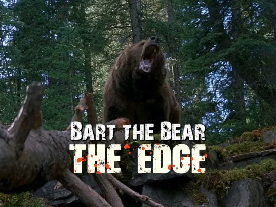 Bart the Bear (The Edge, 1997)