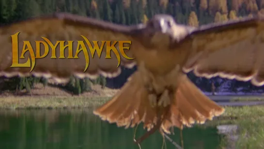 Hawk (Ladyhawke, 1985)