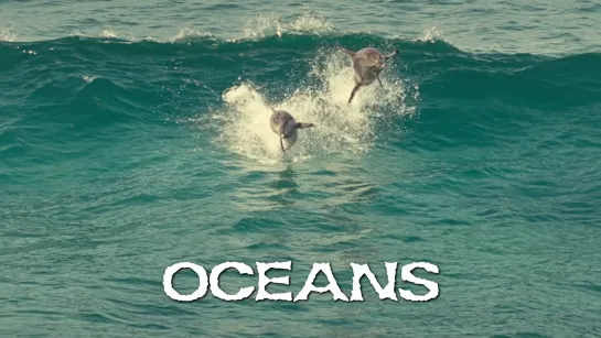 Дельфины (Oceans, 2009)