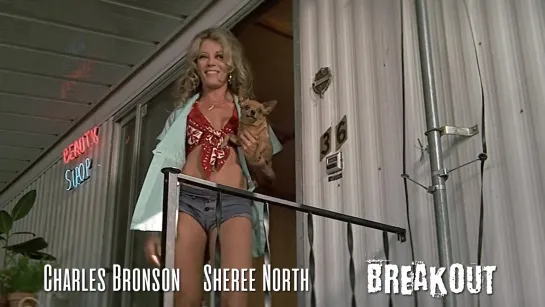 Sheree North (Breakout, 1975)