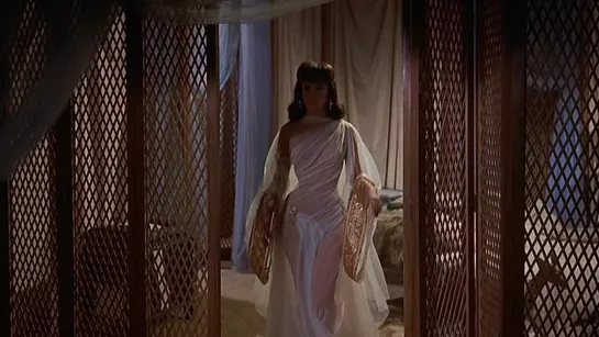 Gina Lollobrigida as Sheba (Solomon and Sheba, 1955)