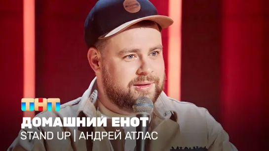 Stand Up: Андрей Атлас - домашний енот