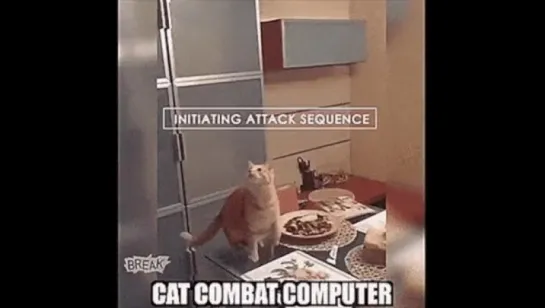 cat combat computer