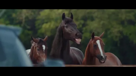 Ржачная реклама Фольксваген _Volkswagen Horses laugh Commercial 2016