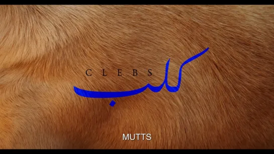 Mutts / Clebs (2019) dir. Halima Ouardiri