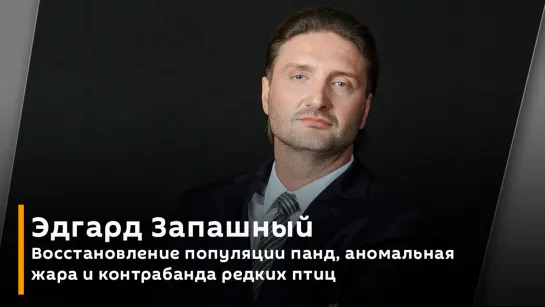 Эдгард Запашный. Восстановление популяции панд, аномальная жара и контрабанда редких птиц