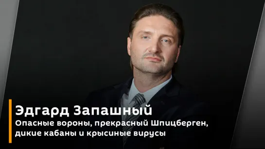 Опасные вороны, прекрасный Шпицберген, дикие кабаны и крысиные вирусы | Запашный