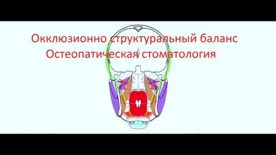 Окклюзионно структуральный баланс Остеопатическая стоматология