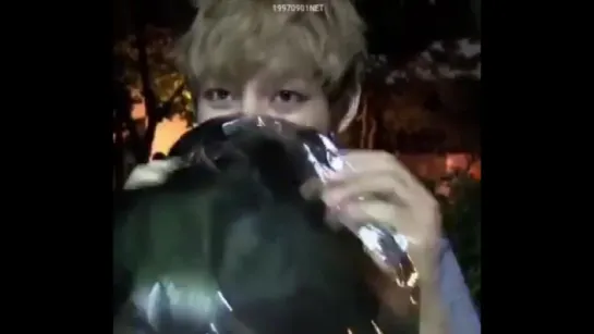 BTS with Helium (2013-2017 Edition)