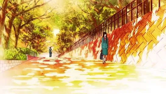 Kimi ni﻿ Todoke - Owl﻿ city - Enchanted AMV