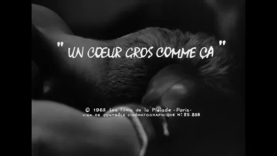 The Winner / Un Coeur Gros Comme Ca (1961) dir. François Reichenbach