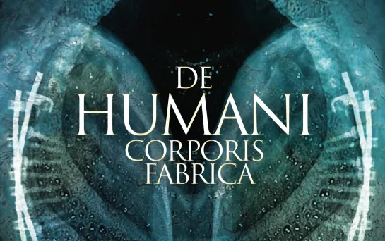 The Fabric of the Human Body / De humani corporis fabrica (2022) dir. Lucien Castaing-Taylor & Verena Paravel