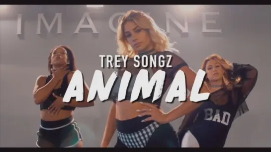 Trey Songz | Animal | Brinn Nicole Choreography