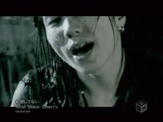 Acid Black Cherry - Aishitenai