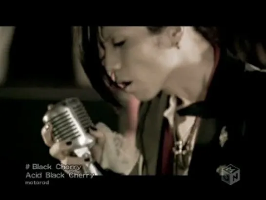 Acid Black Cherry - Black Cherry