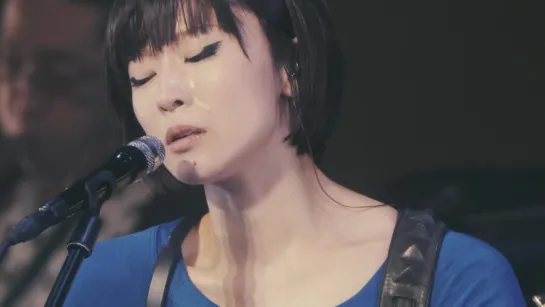 Shiina Ringo (椎名林檎) - Shiina Ringo to Kyatsura ga Yuku Hyakkiyakou 2015 ~椎名林檎と彼奴等がゆく 百鬼夜行2015~ Main Show (2017.05.31)