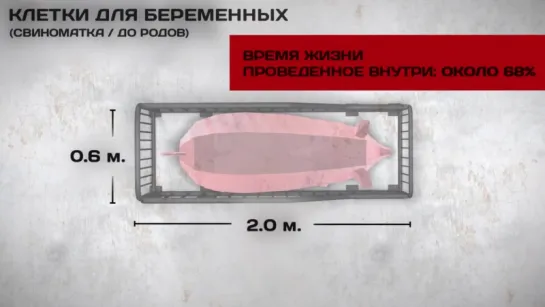 Взаперти [русские субтитры]