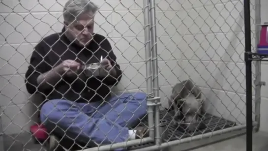 Зоопсихология в действии (The adorable moment veterinarian comforts a scared, abandoned dog by sitting in its cage and eating)